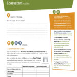 DO: ECOSYSTEM CYCLES