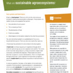LEARN: WHAT ARE SUSTAINABLE AGROECOSYSTEMS?